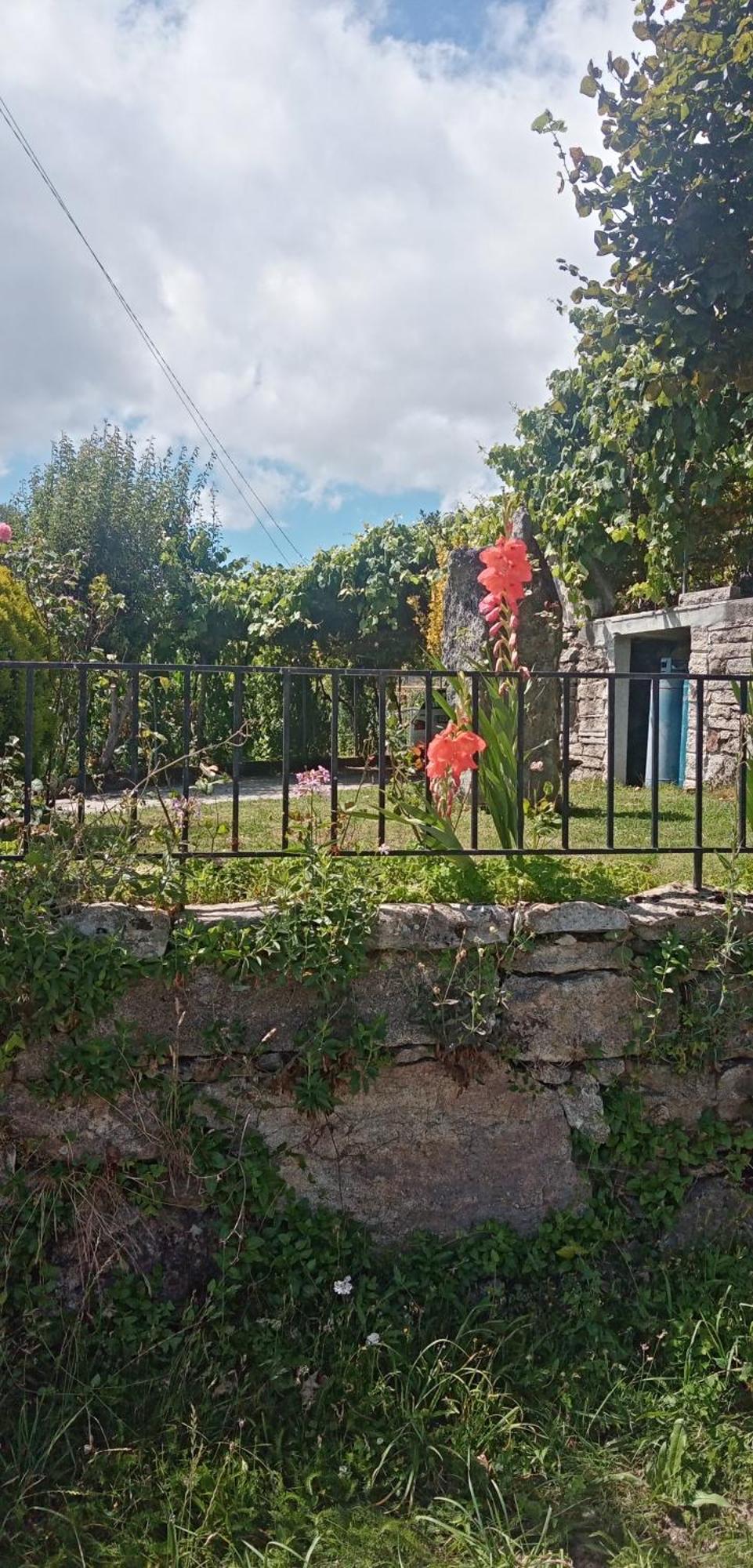 O Rocha Villa Paredes do Rio Eksteriør billede